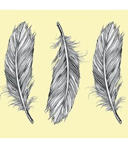 Set of 4 Tile Stickers Feathers