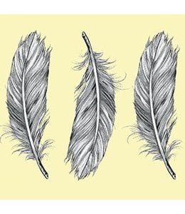 Set van 4 Tegelstickers Feathers