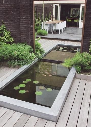 Den Gartenspiegel muss man im Sommer unbedingt haben