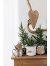 Deco Tree Print Small Avana / Gold