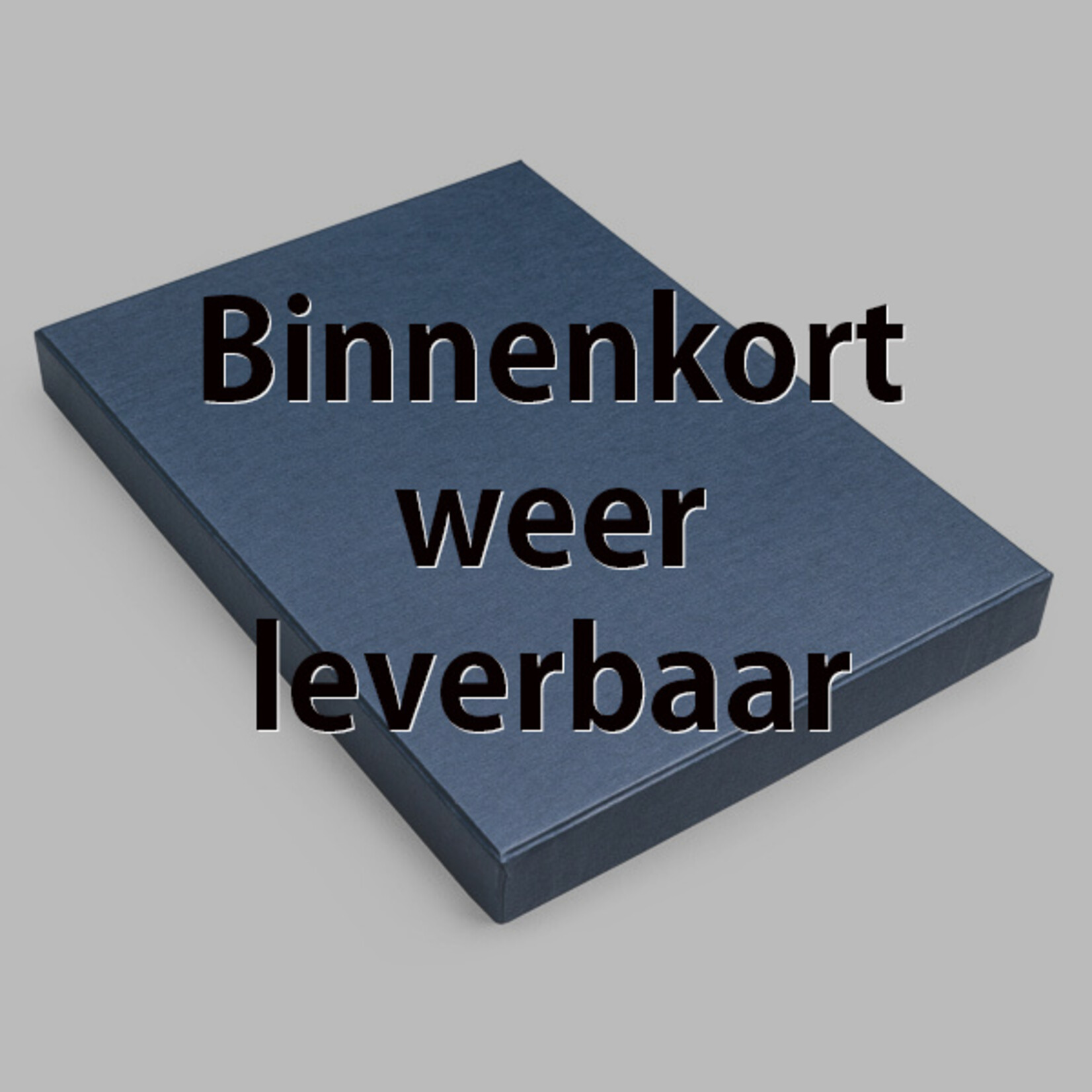 Opbergdoos A4 Blauw