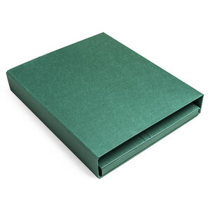 Deluxe ring binder  green