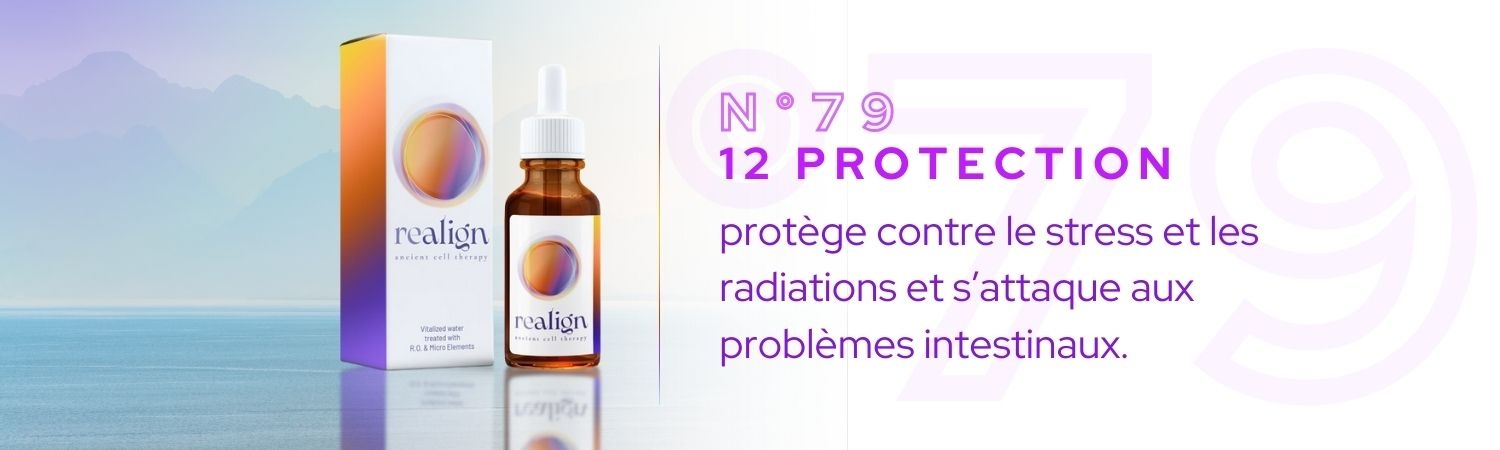 12 Protection