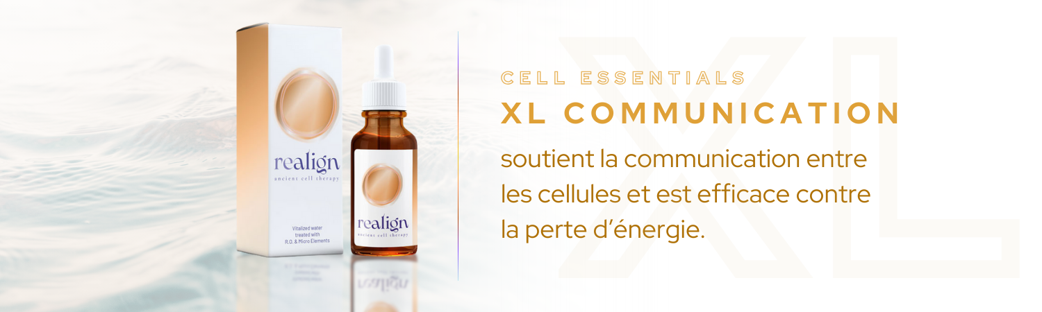 XL Communication