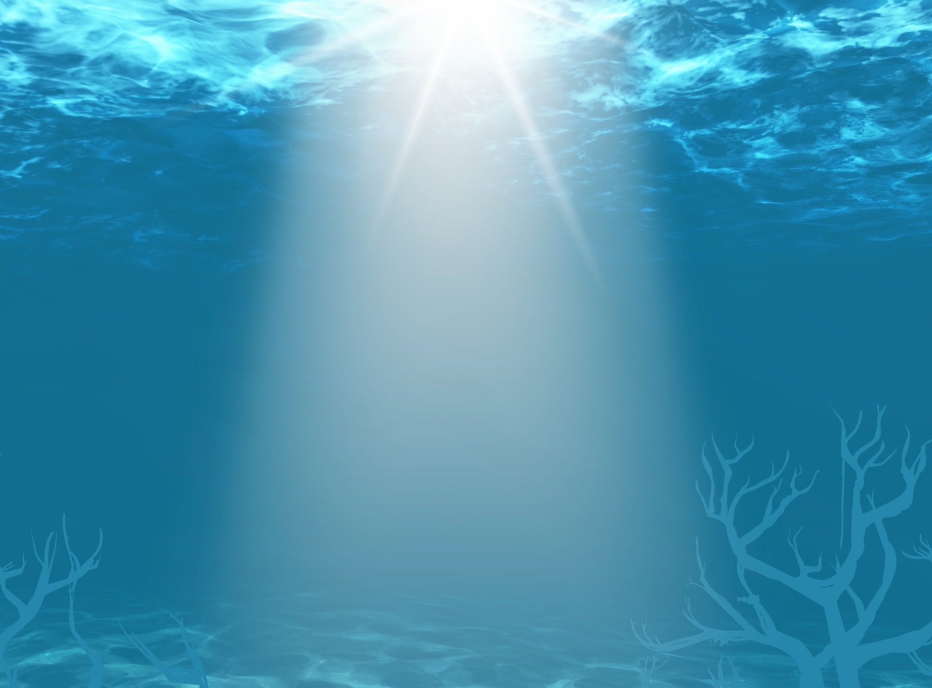 Microplastics uitgelegd