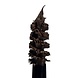 MÁDARA Grow & Fix Tinted Brow Gel Ash Brown MÁDARA Grow & Fix Tinted Brow Gel Ash Brown