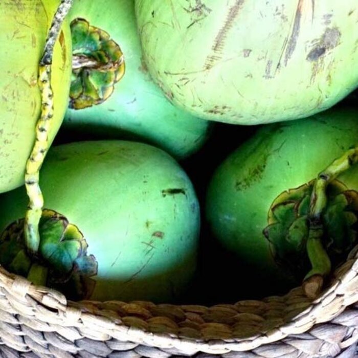 The Ohm Collection DEOdorant Kokosnuss The Ohm Collection DEOdorant Kokosnuss