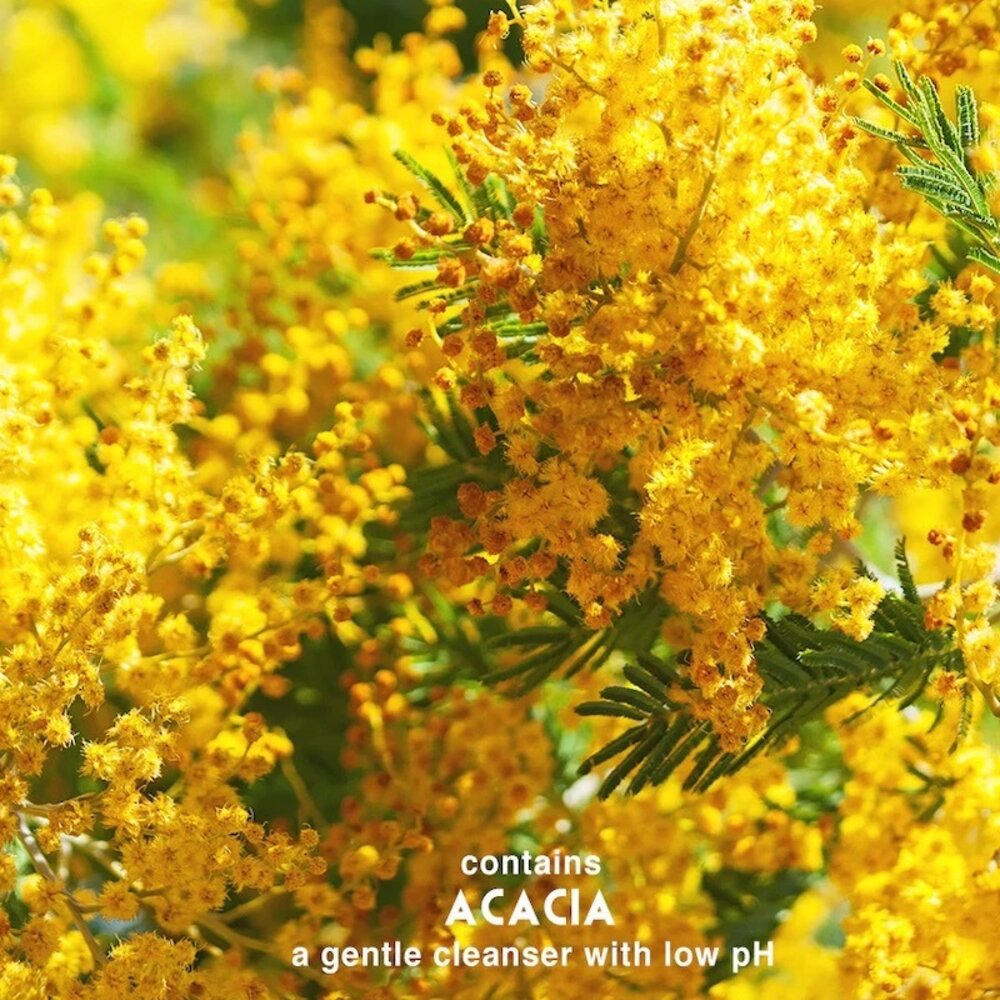 Surya Brasil Henna-Pulver Rot Surya Brasil Henna-Pulver Rot