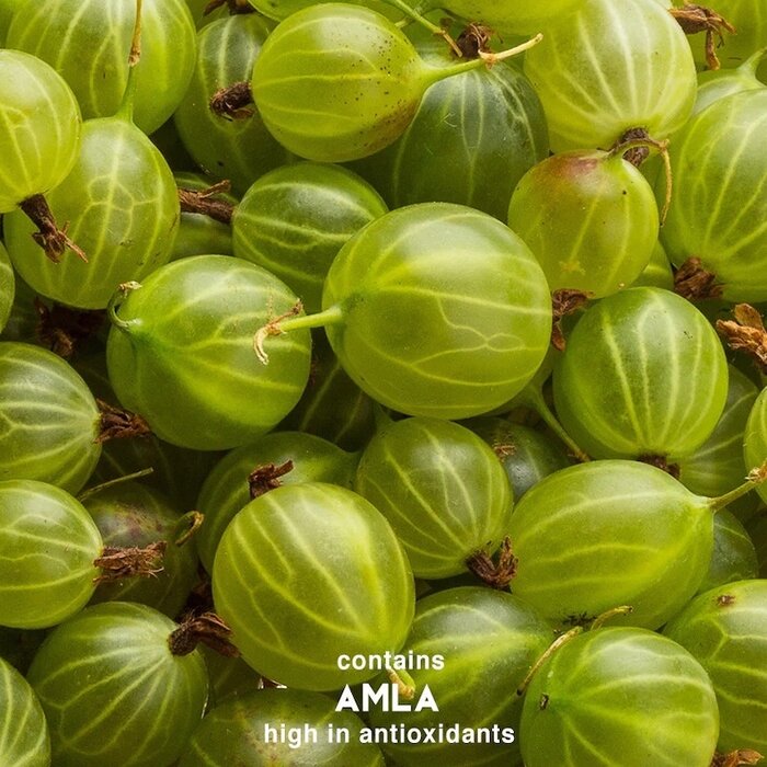 Surya Brasil Henna-Pulver Rot Surya Brasil Henna-Pulver Rot