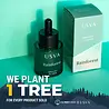 USVA Cosmetics Rainforest Omega Rich Oil Serum USVA Cosmetics Rainforest Omega Rich Oil Serum
