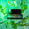 USVA Cosmetics Rainforest Omega Rich Beauty Balm USVA Cosmetics Rainforest Omega Rich Beauty Balm