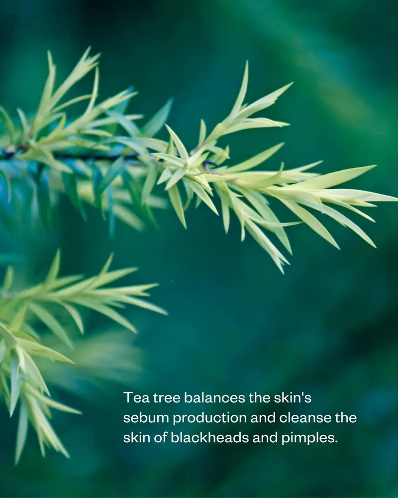 Flow Cosmetics Activated Charcoal & Tea Tree Gezichtsreiniger