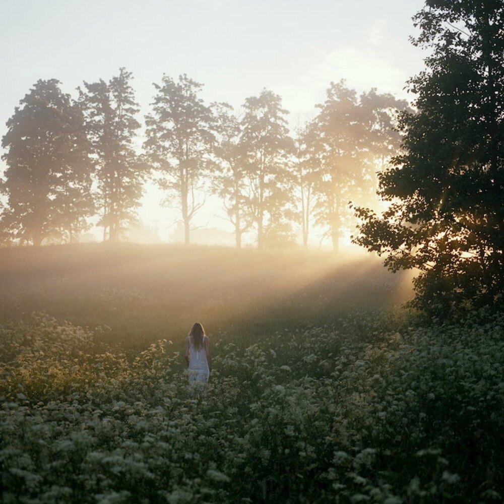 MÁDARA Deep Moisture Day Cream