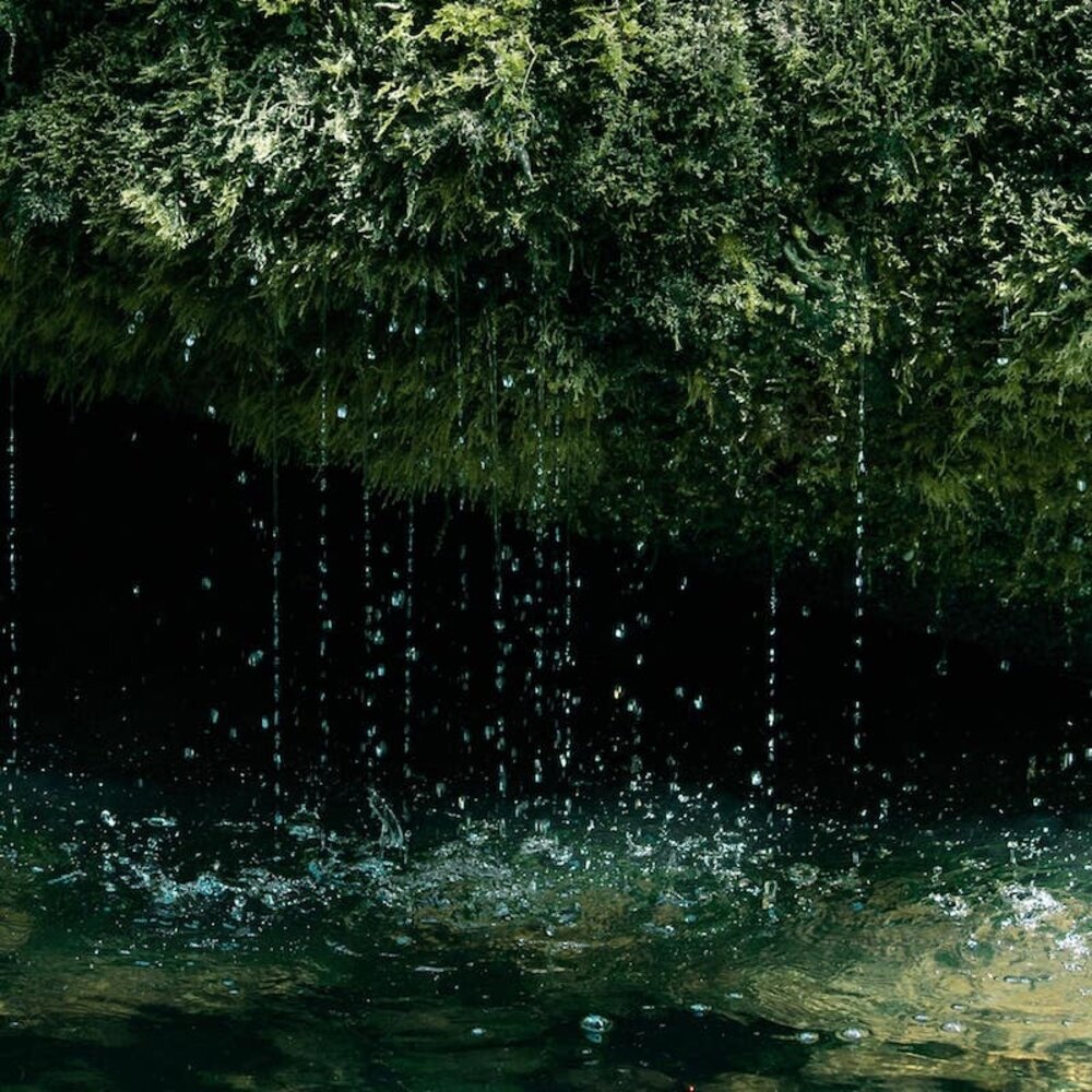 MÁDARA Deep Moisture Night Cream