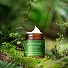 Antipodes Kiwi Seed Oil Eye Cream