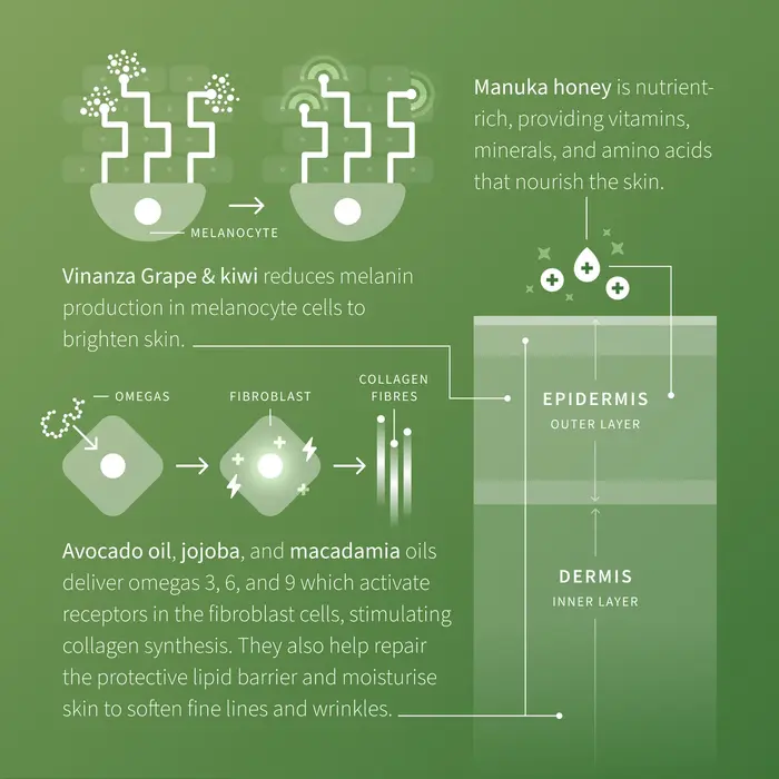 Antipodes Avocado Birne Nährende Nachtcreme