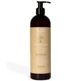 NAJEL Aleppo 2-in-1 Shampoo für trockenes Haar NAJEL Aleppo 2-in-1 Shampoo für trockenes Haar