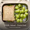 VANN RVS Lunchbox