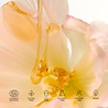 MÁDARA Nectar Lips Ceramide Lip Oil Amber MÁDARA Nectar Lips Ceramide Lip Oil Amber