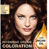 Schwarzkopf Poly Palette 750 Chocolate Brown Hair Dye