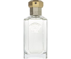 versace the dreamer parfum