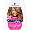 Shampooing Silk Door Chamber 400ML