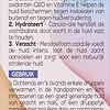 Biodermal Renewing Face Oil - Met de huideigen krachtige antioxidanten Q10 - 30ml