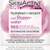 Garnier SkinActive Botanical Day Cream Rose Water - 50 ml - Peau sèche et sensible - Emballage endommagé