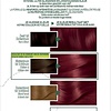 Garnier Nutrisse Ultra Color Hair Dye - 6.60 Fiery Red - Emballage endommagé