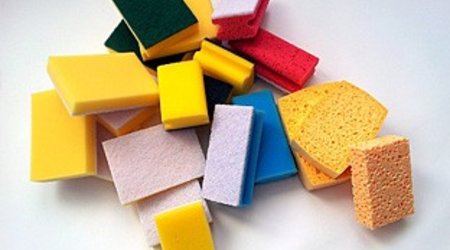 Sponges and Scourers