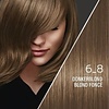 SYOSS Color baseline 6-8 Teinture pour cheveux blond foncé