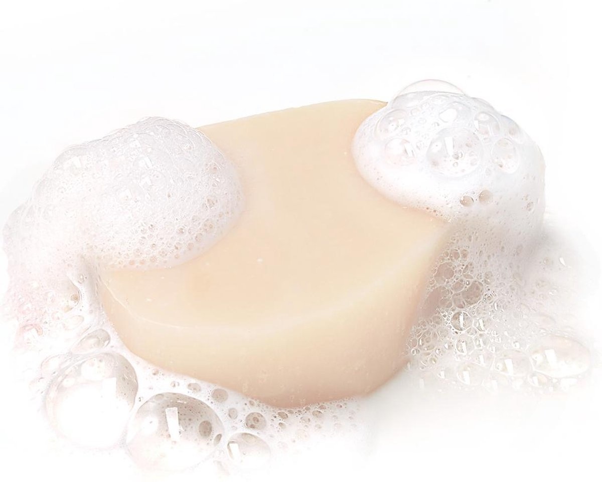 Garnier Loving Blends Shampoing Solide Avoine Douce - Pour Cheveux Vulnérables - 60g