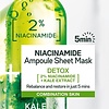 Garnier SkinActive Tissue Masque Visage Kale & Niacinamide