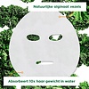 Garnier SkinActive Tissue Face Mask Grünkohl & Niacinamid