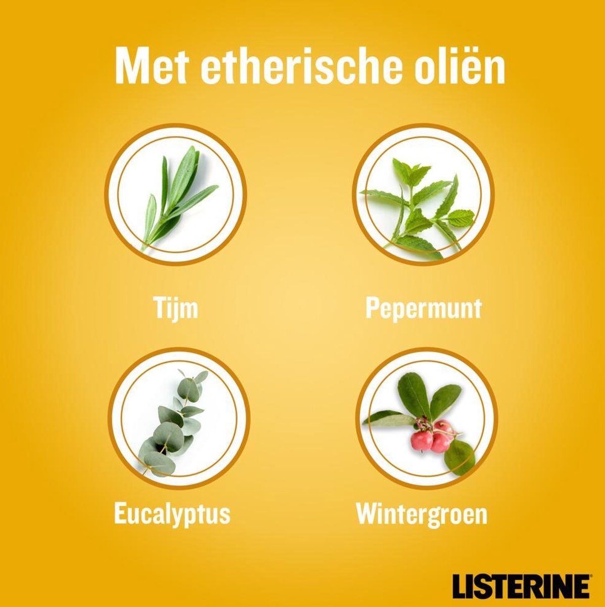 Listerine Bain de Bouche Gingembre Frais & Citron Vert 500 ml