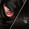 SYOSS Color baseline hair dye 1-1 Black