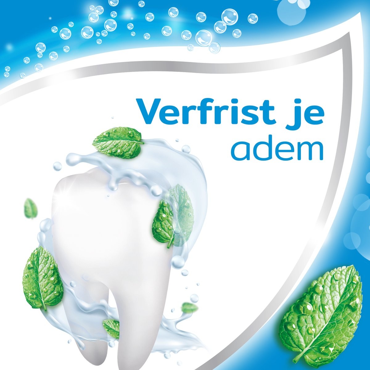 Aquafresh Toothpaste Coolmint - 75 ml