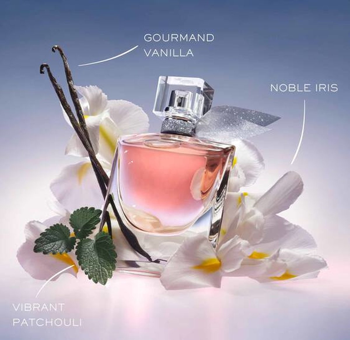 La Vie Est Belle 100 ml - Eau de Parfum - Parfum Femme - Emballage abîmé