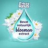 Frisse Reus - Lotus - Flüssigwaschmittel - Weiße Wäsche - Großverpackung - 77 Wäschen