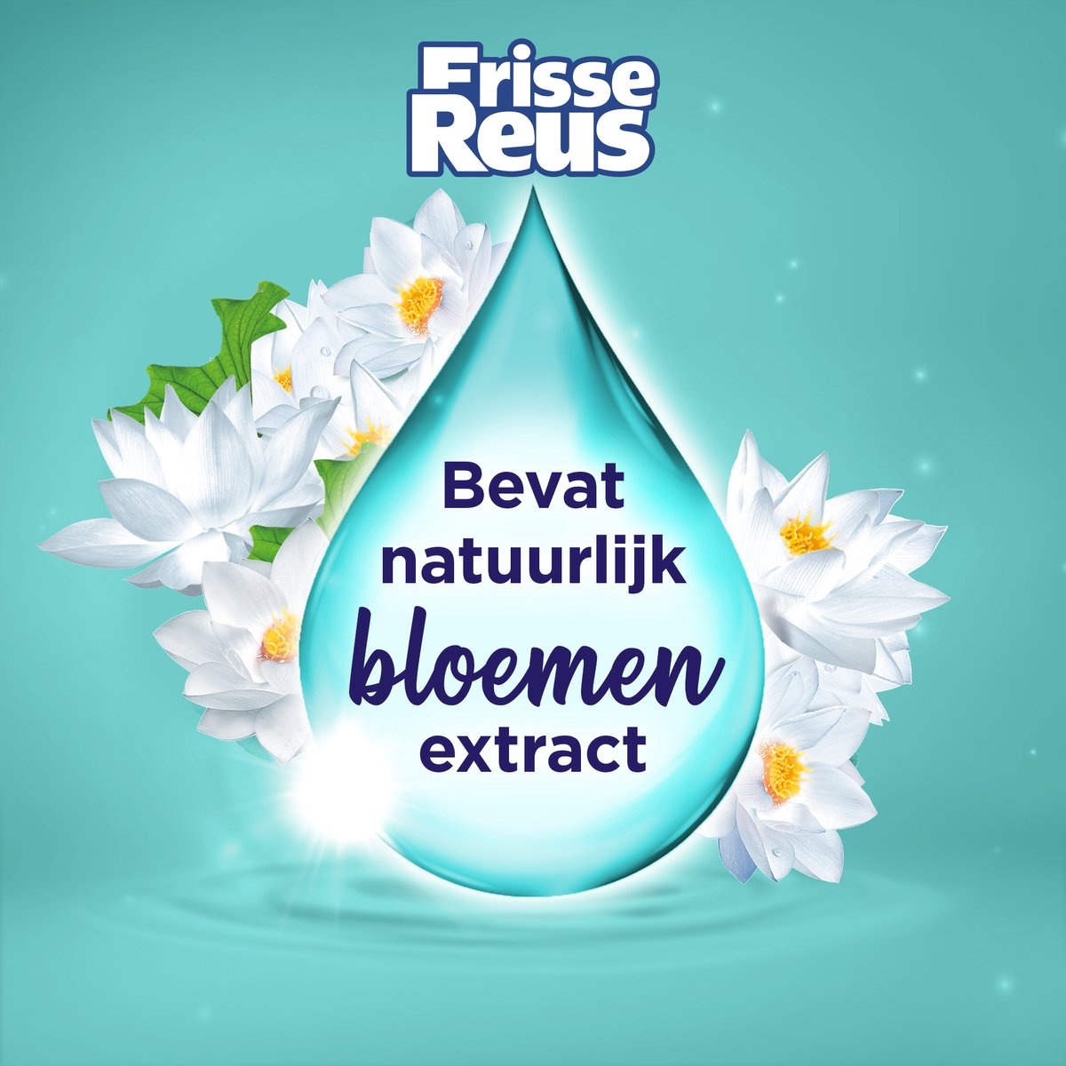 Frisse Reus - Lotus - Liquid Detergent - White Laundry - Bulk Packaging - 77 Washes