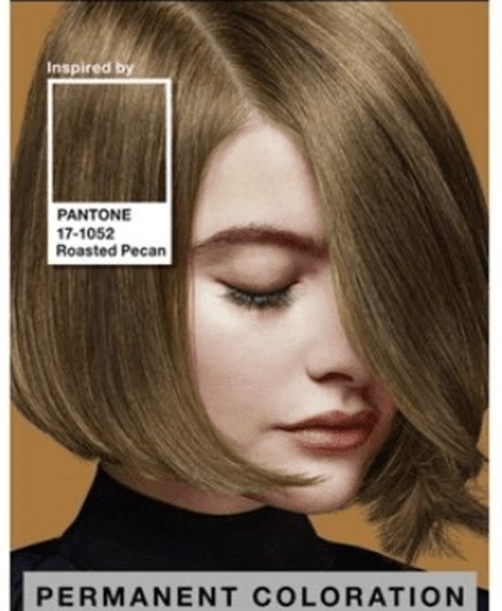 SYOSS Pantone Hair Dye 6-66 Roasted Pecan - Packaging damaged