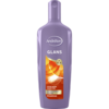 Andrélon Glanzshampoo 300 ml