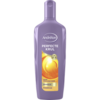 Andrelon Shampoo Perfect Curl 300 ml