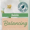 Kneipp Balancing - Badolie - Patchouli 100ml - Verpakking beschadigd