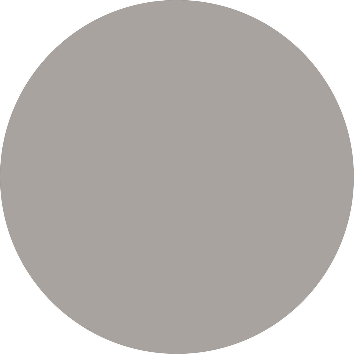 L'Oréal Paris Colorista Hair Makeup – Grau – Verpackung beschädigt