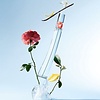 Kenzo Flower L'Absolue - 30 ml - Eau de Parfum Spray - damesparfum - Verpakking beschadigd