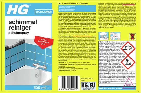 HG Formenreiniger-Schaumspray 500 ml