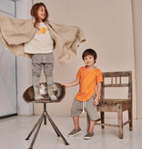 GREY STRIPED ACID SHORTS