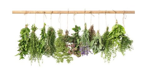 Oma weet raad: Goede eigenschappen van kruiden in thee