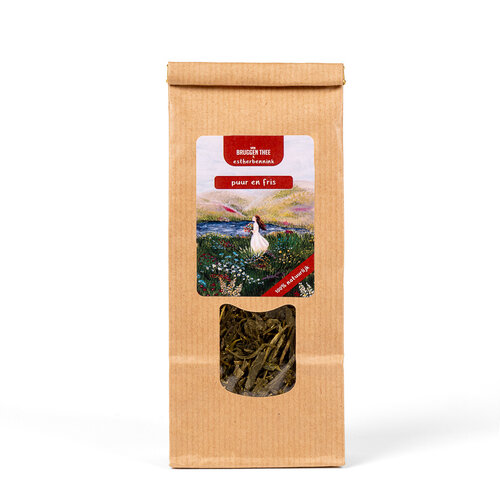 Van Bruggen Thee Puur en fris - 100% natuurlijke sencha